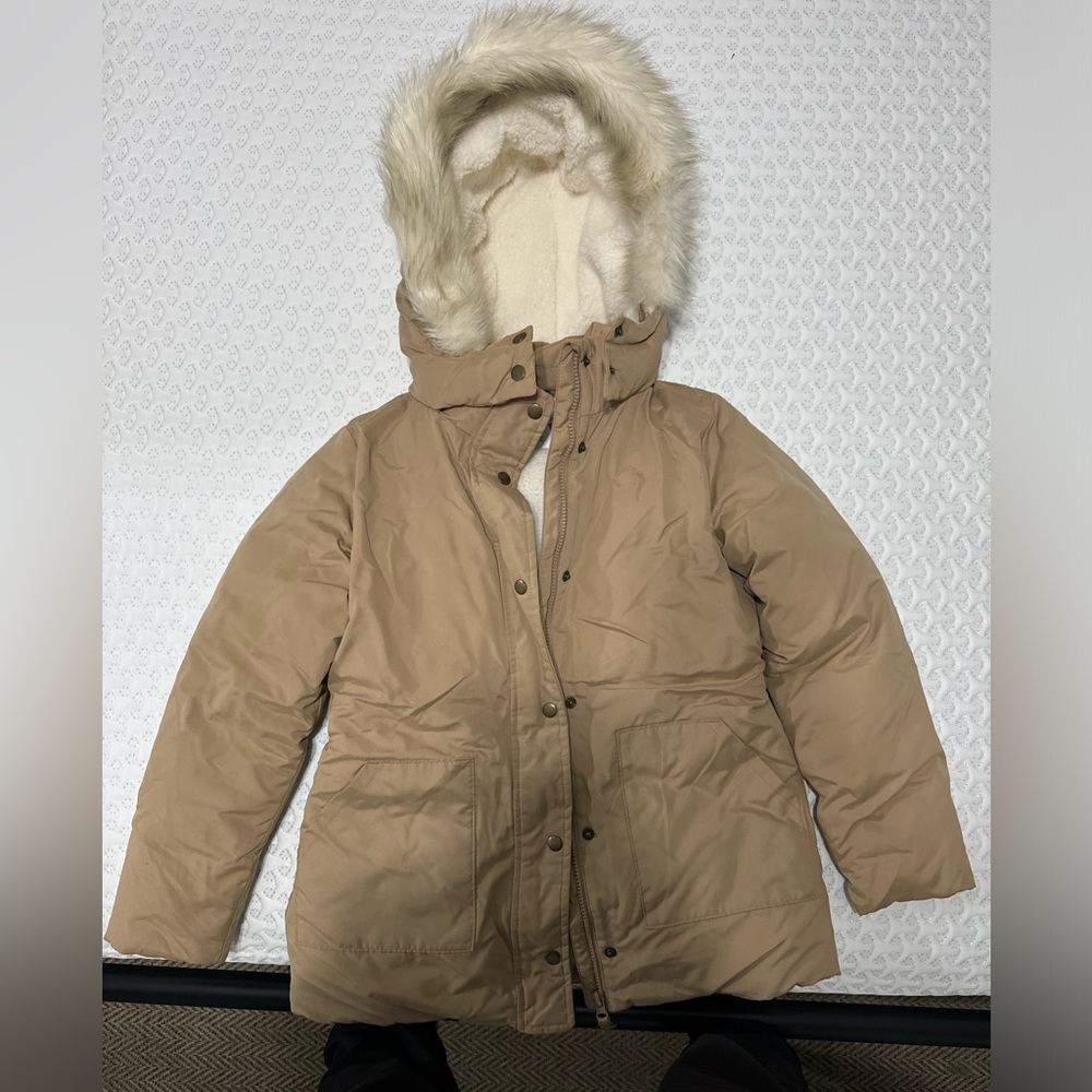 Winter Coat